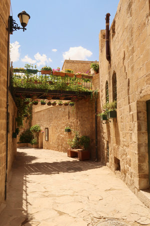 Balcony, pedestrian bridge and small alleyway covered in lush plants in the old town of Mardin, Turkey 2022の写真素材