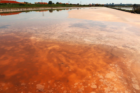 Visible pink and orange salt deposits, residue forming a pattern under the smooth surface of a pool at the Burgas Salt Pans, Lake Atanasovsko, Atanasovo, Burgas, Bourgas, Bulgaria 2022の写真素材