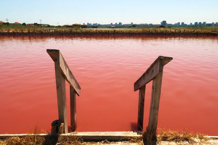 Stairs leading into the main bathing, swimming pool with its intense pink color at the Burgas Salt Pans, Lake Atanasovsko, Atanasovo, Burgas, Bourgas, Bulgaria 2022の写真素材