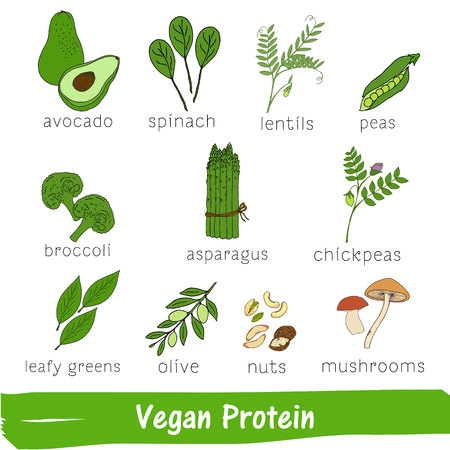 Vegetables and fruits with a high content of Vegan Protein. Hand drawn vitamin setのイラスト素材