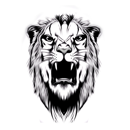 Tiger Head illustrationの写真素材