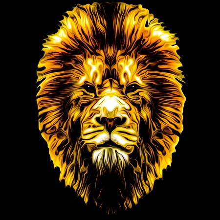 bright artistic lion on colored backgroundの写真素材
