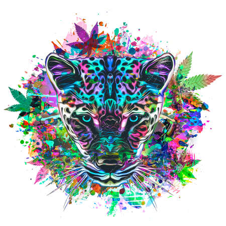 grunge background with graffiti and paintedの写真素材