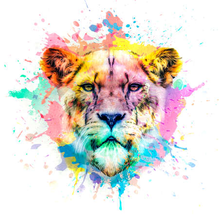 close up of a lion headの写真素材