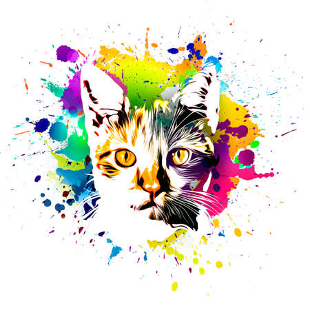 hand drawn cat with colorful splashesの写真素材