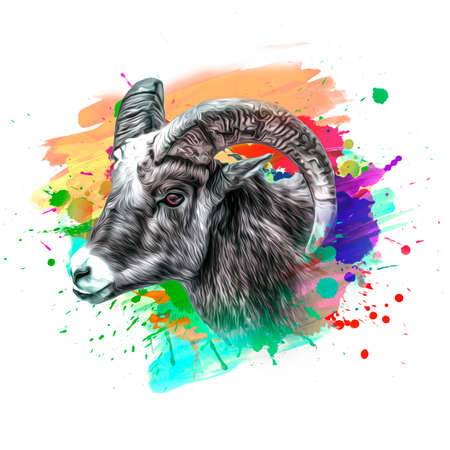 goat on the farm color artの写真素材