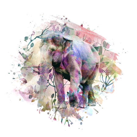 elephant in africa color artの写真素材