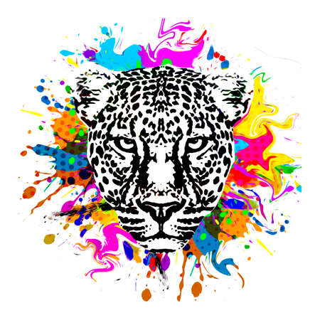 leopard head with backgroundの写真素材