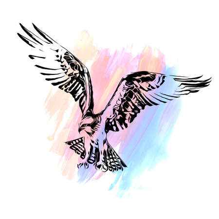 eagle head and creative abstract elements on colorful backgroundの写真素材