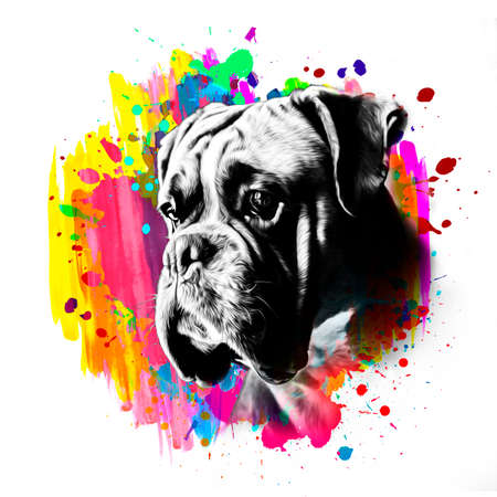 english bulldog portrait color artの写真素材