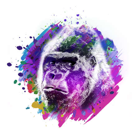 close up of a color background and white gorilla