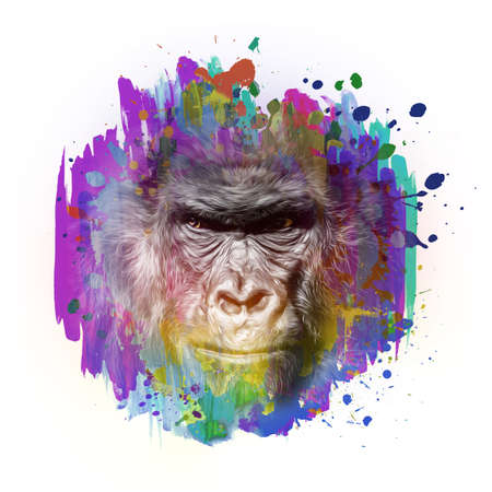 close up of a color background and white gorilla