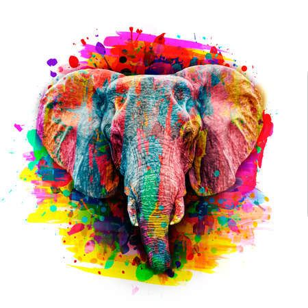 elephant with creative colorful abstract elements on light backgroundの写真素材