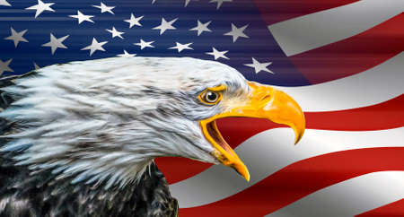 eagle face isolated on usa flag background
