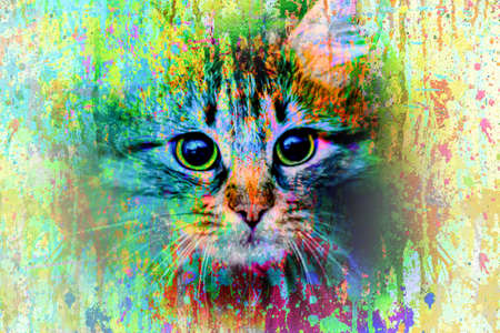 cat in the rain color artの写真素材