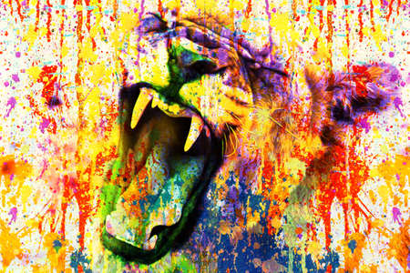 colorful artistic lion muzzle with bright paint splatters on white background.の写真素材