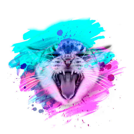 colorful artistic cat muzzle with bright paint splatters on white background.