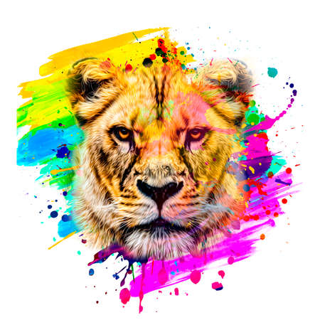 colorful artistic lion muzzle with bright paint splatters on dark background.の写真素材