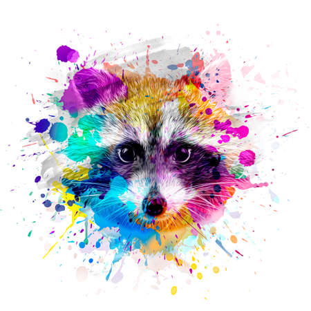 close up portrait of a raccoonの写真素材