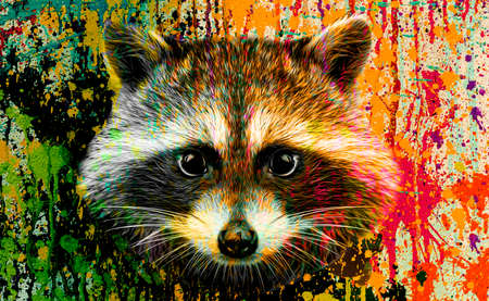 close up portrait of a raccoonの写真素材