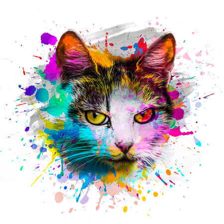 colorful artistic cat muzzle with bright paint splatters on white background.の写真素材