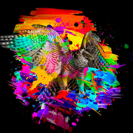 colorful artistic eagle muzzle with bright paint splatters on dark background.の写真素材