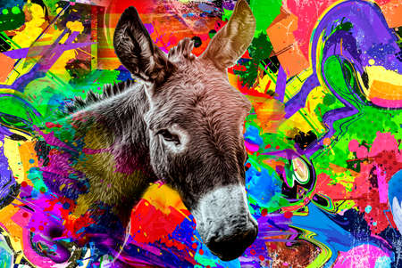 portrait of a donkey color artの写真素材