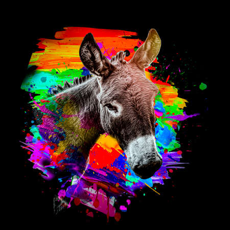 portrait of a donkey color artの写真素材