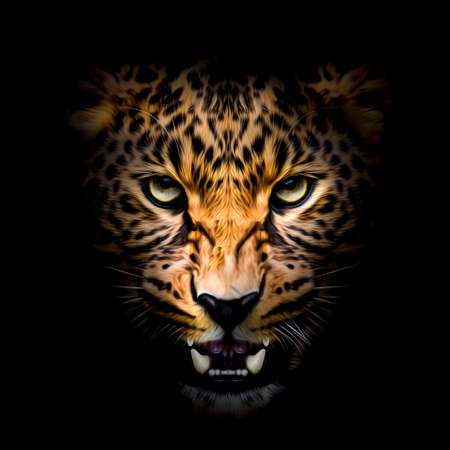 Colorful artistic leopard muzzle with bright paint splatters