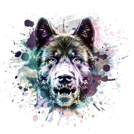 Wolf head with creative abstract element on colorful background color artの写真素材