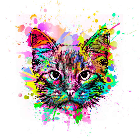abstract colorful cat muzzle illustration, graphic design concept color artの写真素材