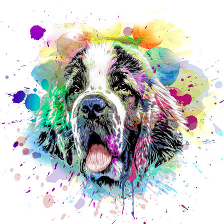 colorful artistic dog muzzle with bright paint splatters on dark background color artの写真素材