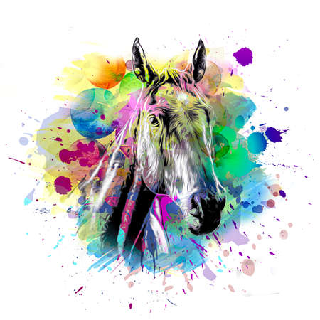 cute horse head with creative abstract elements on white background color artの写真素材