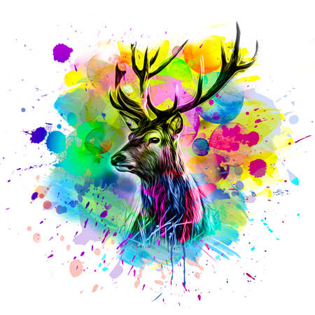 deer grazing on green grass in reserve illustatitonの写真素材