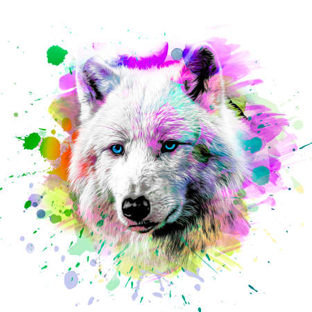 Wolf head with creative abstract element on colorful backgroundの写真素材