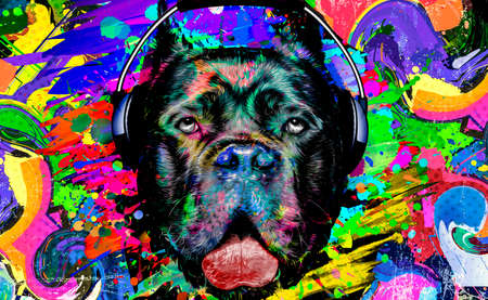 abstract colored dog muzzle isolated on colorful background color art