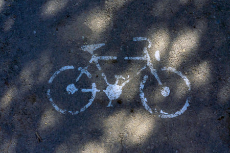 Bicycle symbol painted on the asphalt with shadow on the ground.の写真素材
