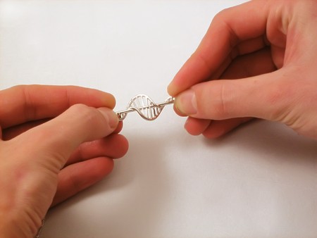 	Hands and DNA