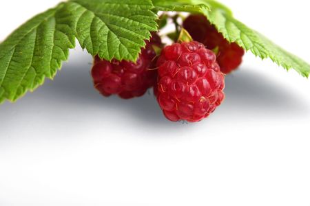 Raspberry fruit with stem and leaves