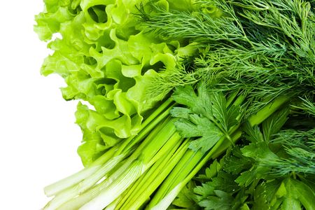 Fresh vegetables. Fennel, parsley, onion, lettuce. の写真素材