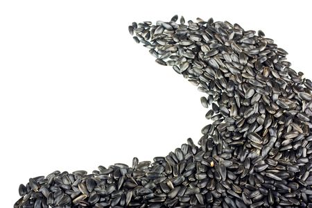 Black sunflower seeds of sunflower on a white background.の写真素材