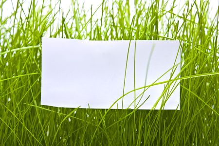 Clean sheet on a background of a green grassの写真素材