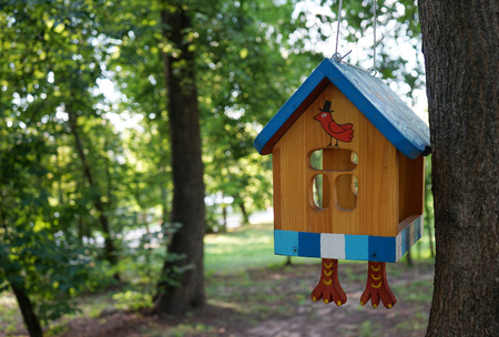 The original house for birds on a tree branch in the city Park.