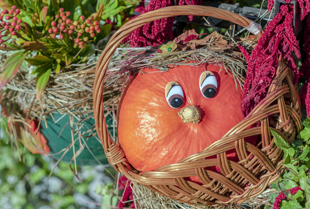 Orange miniature pumpkin with eyes in a rattan basket.の写真素材