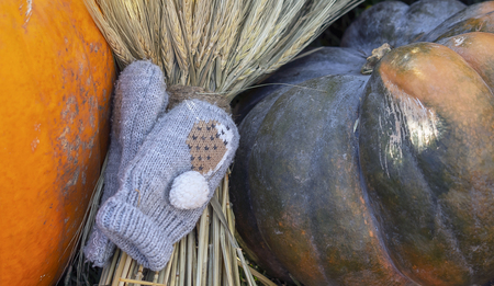 Autumn composition with baby mittens on a pumpkin.の写真素材