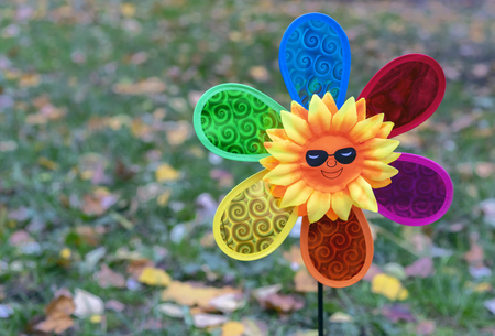 Children's toy air mill with colorful petals.の写真素材