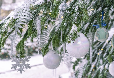 The snow-covered Christmas tree is decorated with white balls, icicles and a garland.の写真素材