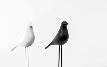 Decorative statuettes of white and black birds in the interior of the house.の写真素材