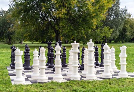 Giant chess pieces on a background of nature.の写真素材