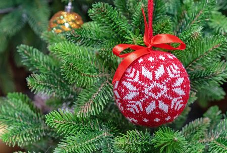 Red woolen Christmas ball with a Scandinavian ornament on a green spruce.の写真素材